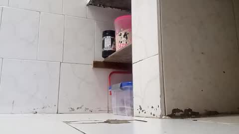 WaltherFeet  online show from January 2, 2025, 9:50 pm