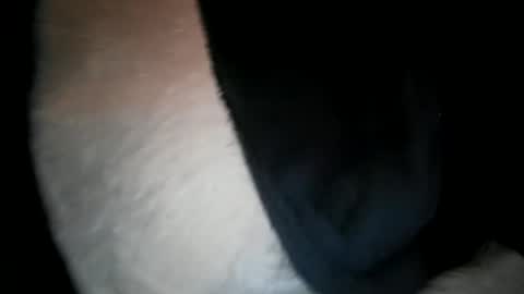 Snapshot of wantobone2 chatting on February 9, 2026, 11:14 am wantobone2 online show from February 9, 2026, 11:14 am