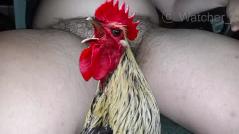 Snapshot of watcher_9 chatting on December 29, 2024, 1:34 am classified online show from December 29, 2024, 1:34 am