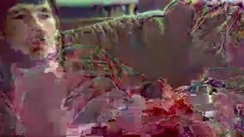 Snapshot of watchmecumforyou___ chatting on November 21, 2025, 7:23 pm watchmecumforyou___ online show from November 21, 2025, 7:23 pm