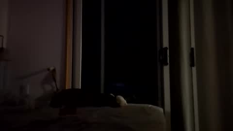 Snapshot of watershed111111 chatting on January 14, 2026, 3:56 am watershed111111 online show from January 14, 2026, 3:56 am