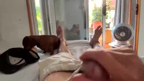 Snapshot of watershed111111 chatting on February 6, 2026, 11:08 pm watershed111111 online show from February 6, 2026, 11:08 pm