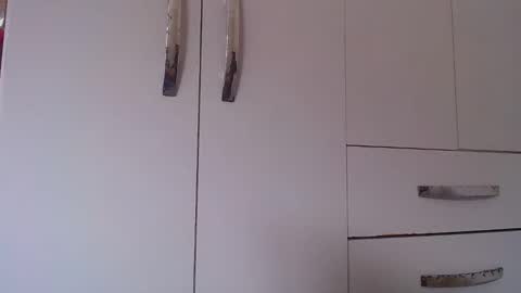 wellingtont online show from October 24, 2025, 11:50 am