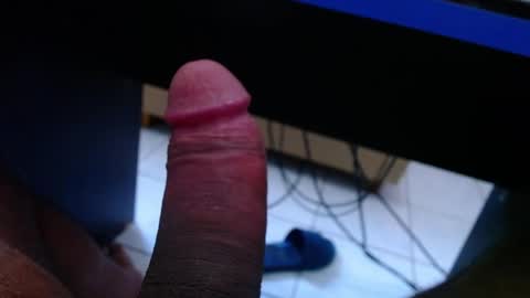 wellingtont online show from April 4, 2026, 5:38 am