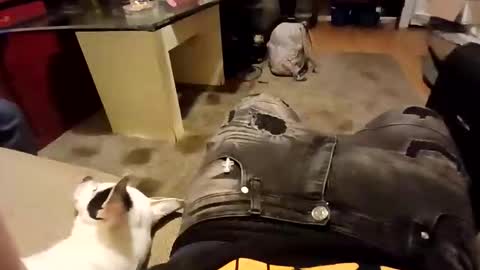 weloveeachothersrizz online show from December 5, 2025, 10:02 am