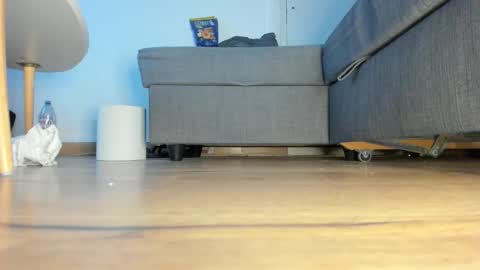 Snapshot of wet_pants2022 chatting on February 10, 2026, 4:22 pm wet_pants2022 online show from February 10, 2026, 4:22 pm