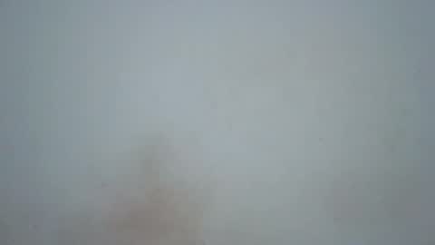 Snapshot of wet_pussieyy chatting on February 17, 2026, 9:21 pm wet_pussieyy online show from February 17, 2026, 9:21 pm