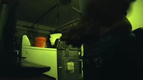 Freaked out1 online show from January 4, 2025, 1:31 am