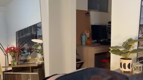 Snapshot of whatpeachy chatting on March 9, 2026, 11:53 pm Aleska online show from March 9, 2026, 11:53 pm