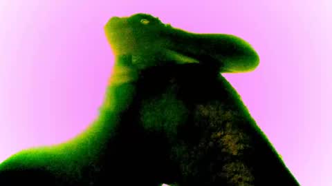 Snapshot of whatsexo chatting on February 28, 2025, 12:54 am whatsexo online show from February 28, 2025, 12:54 am