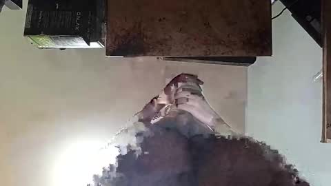 Snapshot of whatsexo chatting on September 19, 2025, 7:10 am whatsexo online show from September 19, 2025, 7:10 am