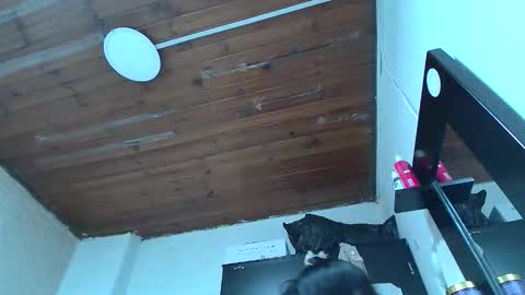 Snapshot of white_sexy_ chatting on January 10, 2026, 11:09 pm white_sexy_ online show from January 10, 2026, 11:09 pm