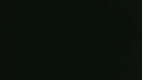 whitehead_lion online show from December 15, 2025, 8:24 pm