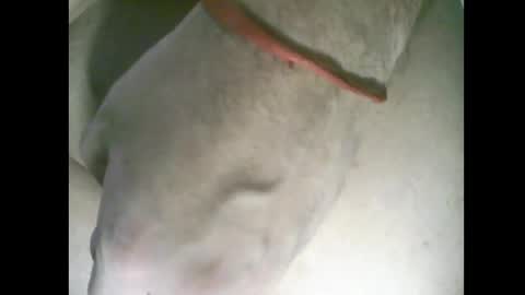 Snapshot of whitelines19 chatting on March 6, 2026, 1:02 am whitelines1991 online show from March 6, 2026, 1:02 am