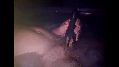 whiteoak19522 online show from April 7, 2026, 9:54 am