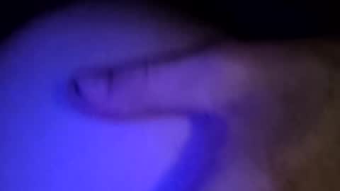 Snapshot of whodunnitwrangler chatting on February 8, 2026, 5:55 am whodunnitwrangler online show from February 8, 2026, 5:55 am