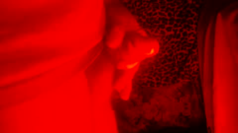 whor4mor online show from December 27, 2024, 1:39 pm