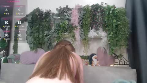 wiagra online show from February 26, 2026, 10:14 am