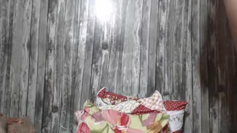 Snapshot of wild_ass_zessa chatting on November 27, 2025, 12:07 pm wild_ass_zessa online show from November 27, 2025, 12:07 pm