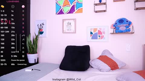 wild_col online show from January 15, 2025, 10:49 am