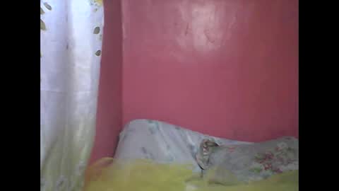 Snapshot of wild_sunflower11 chatting on December 25, 2024, 3:40 am wild_sunflower11 online show from December 25, 2024, 3:40 am