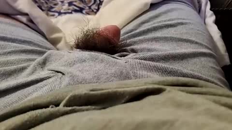 Wild-at-heart online show from December 22, 2024, 2:49 am