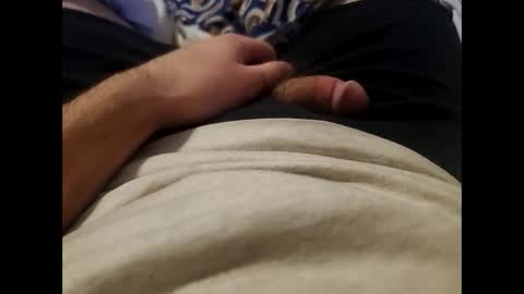 Wild-at-heart online show from January 11, 2025, 8:33 am