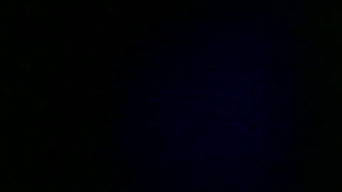 Snapshot of wildcamille chatting on January 21, 2025, 1:11 pm camille online show from January 21, 2025, 1:11 pm