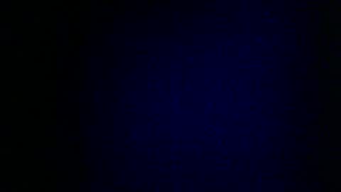 Snapshot of wildcamille chatting on February 7, 2025, 9:16 am camille online show from February 7, 2025, 9:16 am