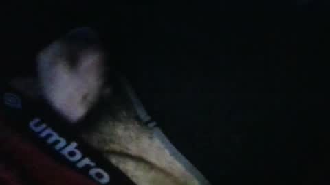 Snapshot of wildealexyz chatting on October 17, 2025, 11:46 am WildeAlex online show from October 17, 2025, 11:46 am