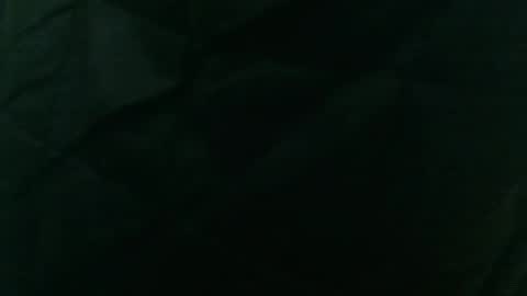 Snapshot of wildinwest chatting on February 9, 2026, 7:34 am wildinwest online show from February 9, 2026, 7:34 am