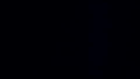 wildman3845 online show from December 8, 2024, 11:24 am