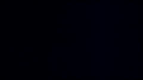 wildman3845 online show from January 2, 2025, 12:24 pm