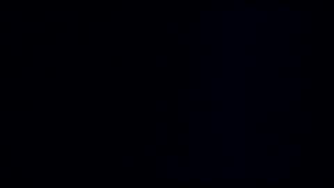 wildman3845 online show from January 8, 2025, 12:05 pm