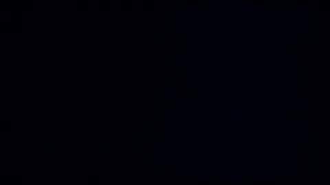 wildman3845 online show from March 8, 2025, 12:41 pm