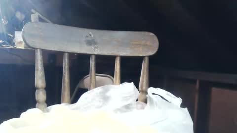 Snapshot of wildman6 chatting on February 8, 2025, 8:53 pm wildman6 online show from February 8, 2025, 8:53 pm