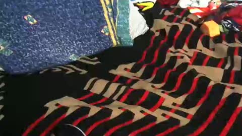 Willamyth online show from February 19, 2025, 8:12 am