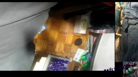 Snapshot of willisgod666 chatting on December 10, 2024, 5:28 am willisgod666 online show from December 10, 2024, 5:28 am