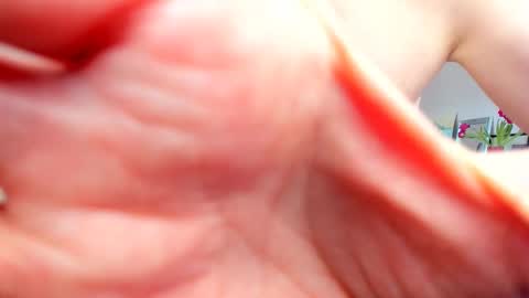 Snapshot of willlytr chatting on February 20, 2025, 9:55 am Wilhelmina better Willy online show from February 20, 2025, 9:55 am