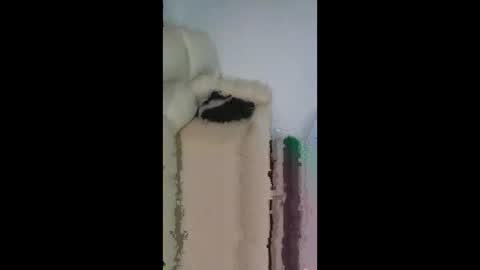 winkipop2204 online show from March 2, 2026, 9:05 am