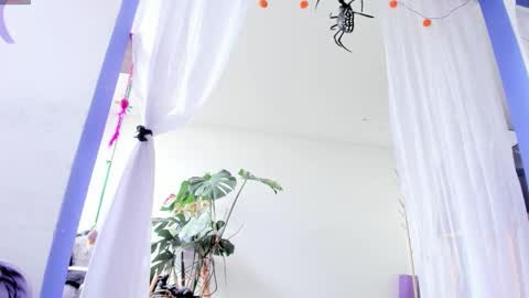     Luna Violeta  A r t i s t  online show from October 28, 2025, 4:42 pm