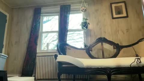 Wolfblazer online show from January 5, 2025, 3:34 pm