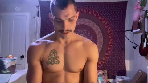 Wolfblazer online show from February 2, 2025, 10:24 am