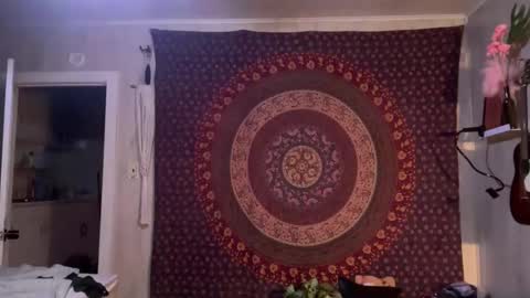 Wolfblazer online show from February 4, 2025, 11:27 am