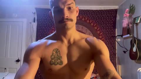 Wolfblazer online show from February 10, 2025, 10:53 am