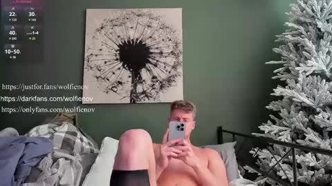 Snapshot of wolfiell chatting on February 3, 2025, 8:24 pm Wolfienov online show from February 3, 2025, 8:24 pm