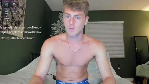 Snapshot of wolfiell chatting on February 14, 2025, 12:51 am Wolfienov online show from February 14, 2025, 12:51 am