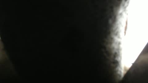 Snapshot of wonderfullight chatting on February 17, 2026, 5:41 pm SHENIEL RODRIGUEZ online show from February 17, 2026, 5:41 pm