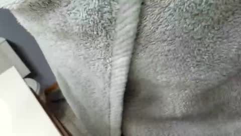 Snapshot of workingman6969 chatting on February 26, 2025, 9:37 pm workingman6969 online show from February 26, 2025, 9:37 pm