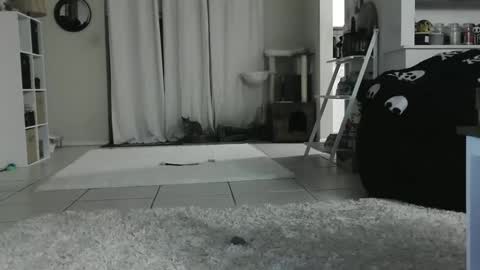 Crystal Lake online show from January 12, 2025, 9:08 am